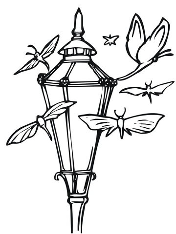 Moths And Lantern Coloring Page